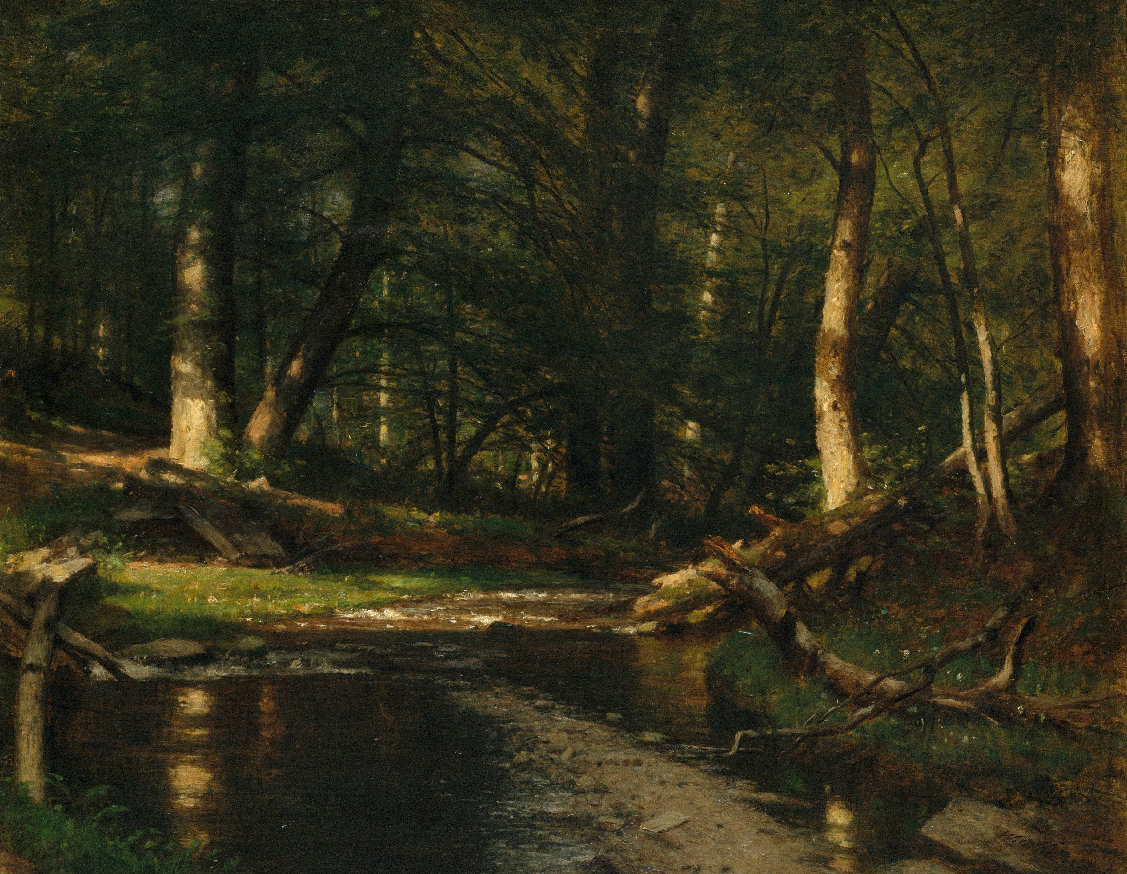 Forest landscape painting